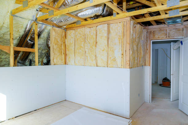 Best Types of Insulation in Selbyville, DE