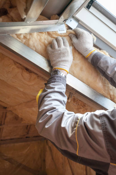 Best Insulation Installation Services in Selbyville, DE