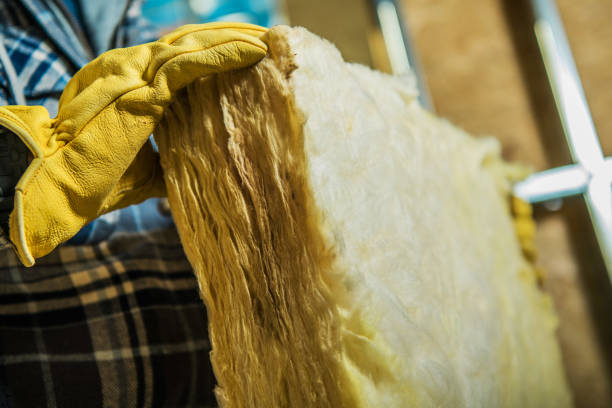 Best Insulation for Specific Applications in Selbyville, DE
