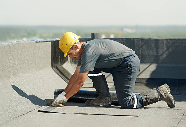 Best Specialty Insulation in Selbyville, DE