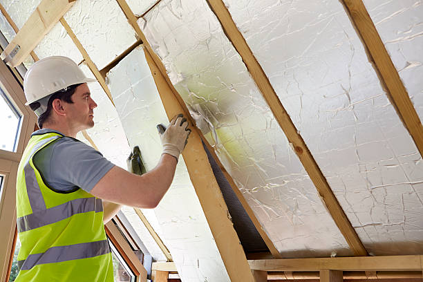 Best Residential Insulation in Selbyville, DE